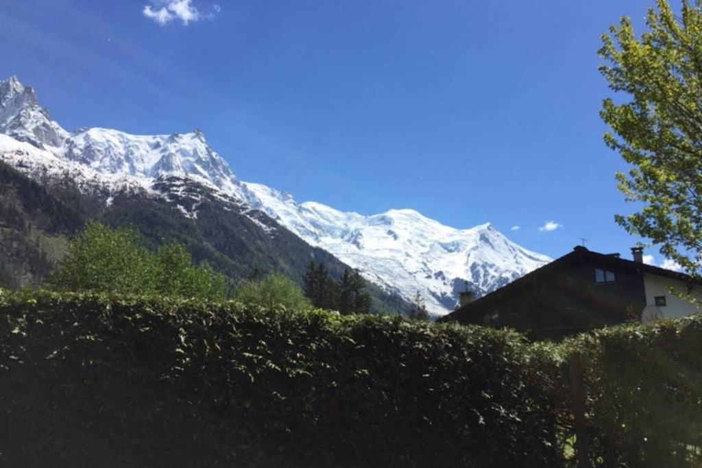 Studio Au Calme Avec Jardin Et Vue Mont-Blanc Шамони Екстериор снимка