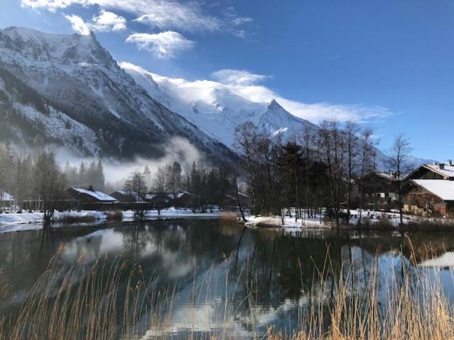 Studio Au Calme Avec Jardin Et Vue Mont-Blanc Шамони Екстериор снимка